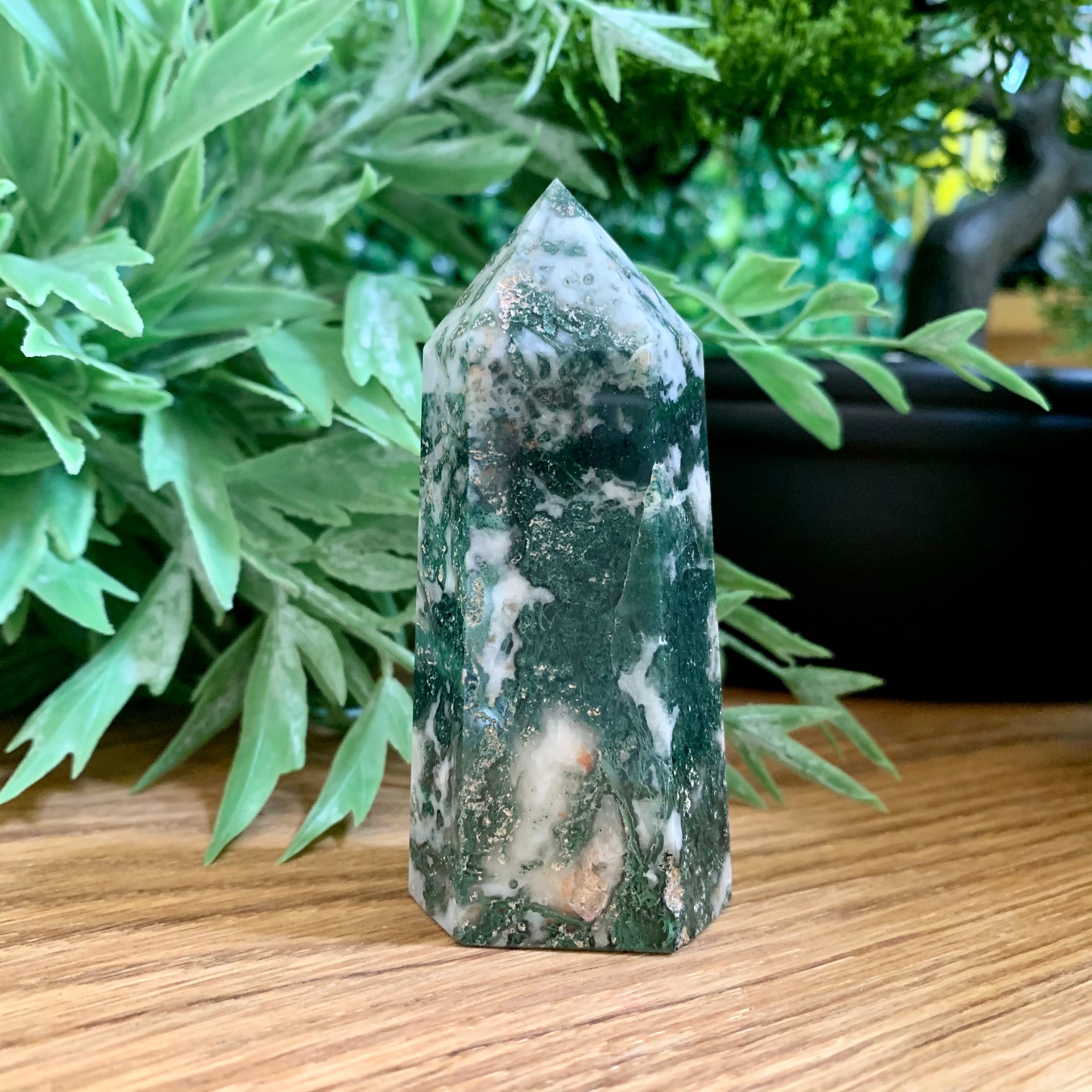 Moss Agate Point 2